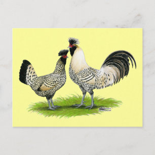 Cartão Postal Galinhas Cream Brabanter