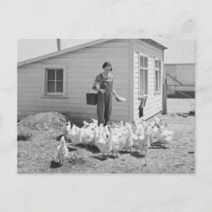 Cartão Postal Galinhas fazendas, 1936