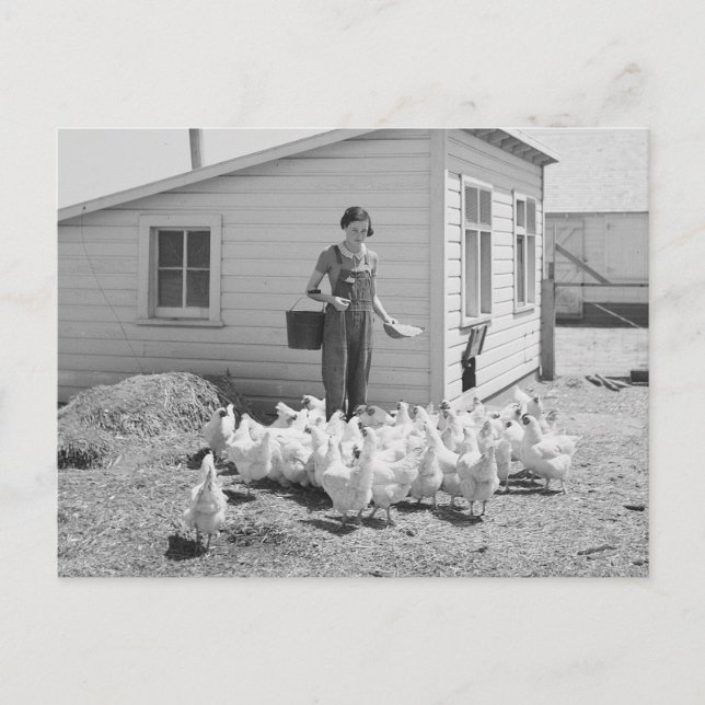 Cartão Postal Galinhas fazendas, 1936 (Frente)