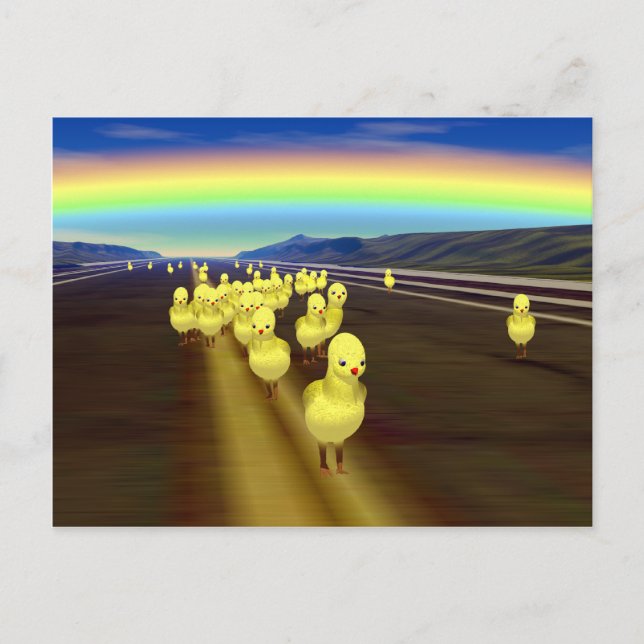 Cartão Postal Galinhas na estrada (Frente)