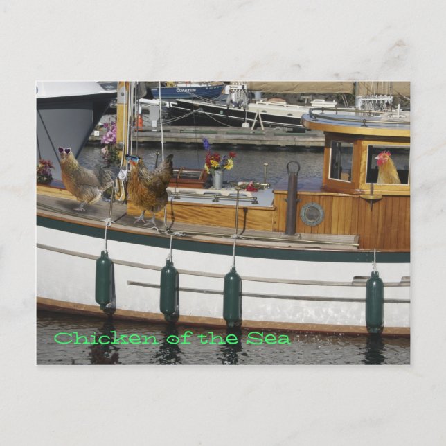 Cartão Postal Galinhas no Mar - Humor (Frente)