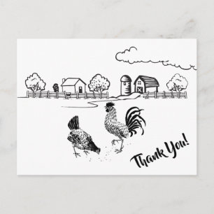 Cartão Postal Galinheiros Galo e Galinha Encantadora Fazenda Rur