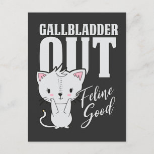 Cartão Postal Gallbadle Feline Good Surgery Recovery Cat Lover