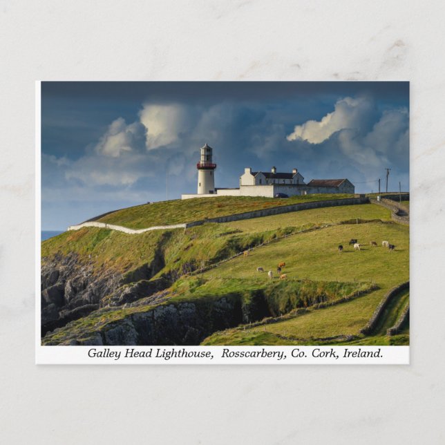 Cartão Postal Galley Head Lighthouse, County Cork, Irlanda (Frente)