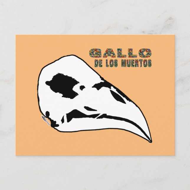 Cartão Postal Gallo De Los Muertos (Frente)