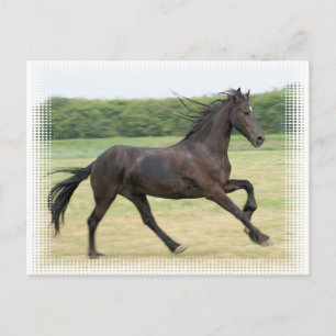 Cartão Postal Galloping Frésio