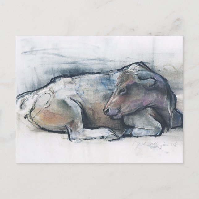 Cartão Postal Galloway 2006 (Frente)