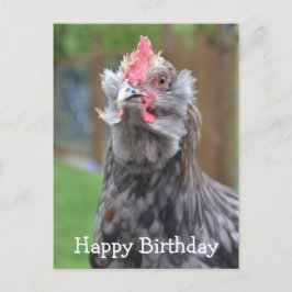 Cartão Postal Galo Americano Feliz Aniversário