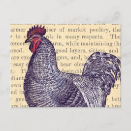 Cartão Postal Galo da Rocha de Plymouth Mercado de Aves Vintage