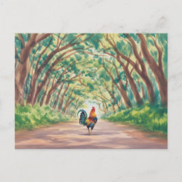 Cartão Postal Galo Kauai andando em direção ao túnel de árvores