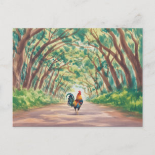 Cartão Postal Galo Kauai andando em direção ao túnel de árvores