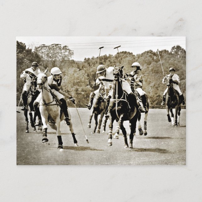 Cartão Postal Galopagem de Cavalos de Polo (Frente)