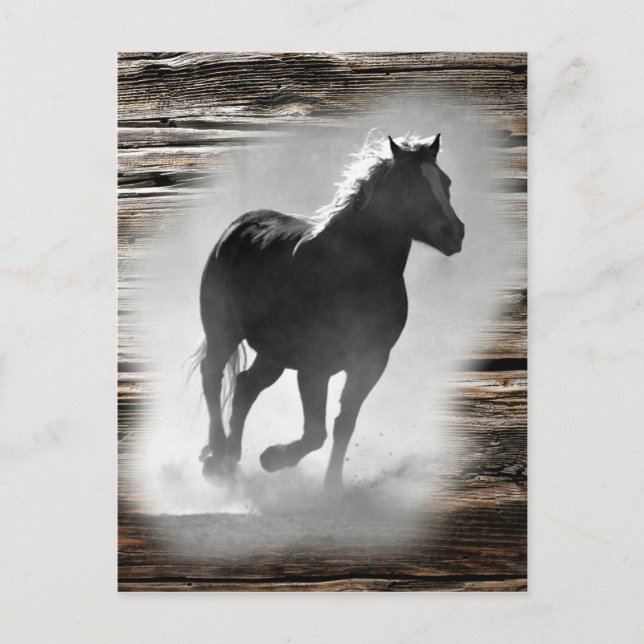 Cartão Postal Galopagem de Cavalos Selvagens (Frente)