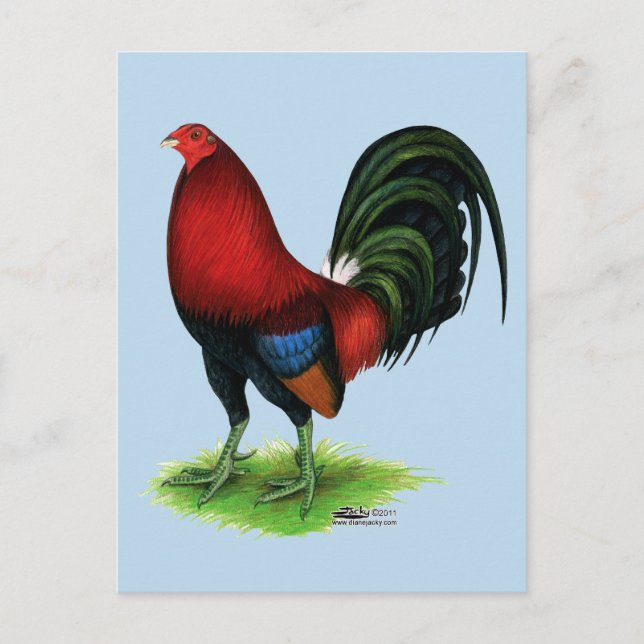 Cartão Postal Gamecock: Vermelho escuro (Frente)