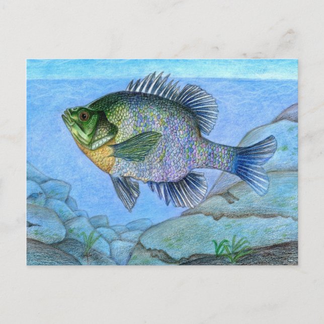 Cartão Postal Ganhando trabalho de arte por L. Luan, Grau 7 (Frente)