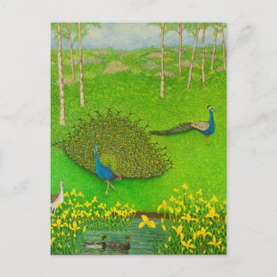 Cartão Postal Ganhando vitórias 2012