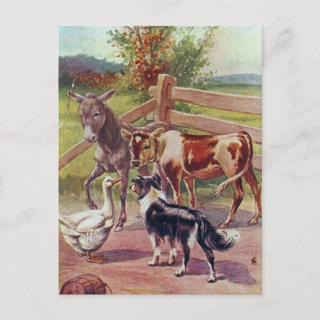 Cartão Postal Ganso Cinza Com Todos os Seus Amigos (Frente)