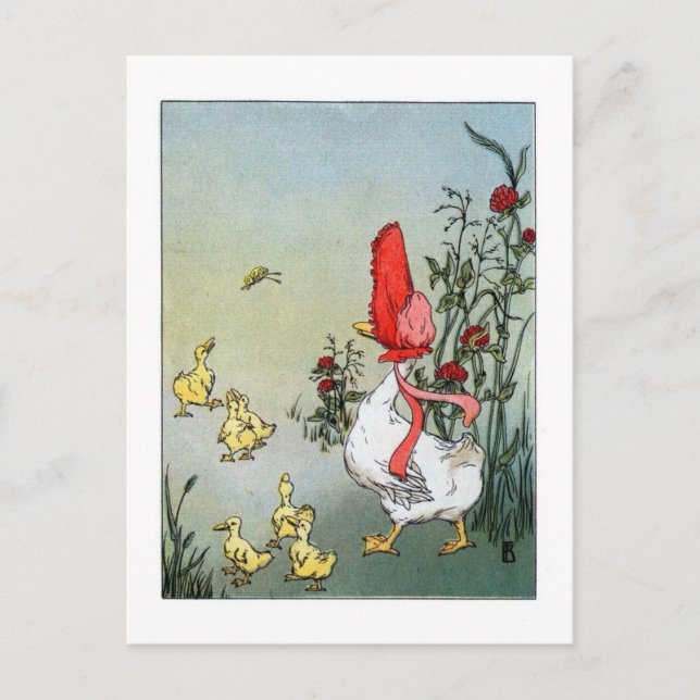 Cartão Postal Ganso e Goslings (Frente)