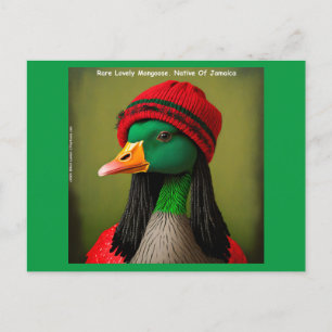 Cartão Postal Ganso Mongoose Reggae Voador Jamaicano Divertido