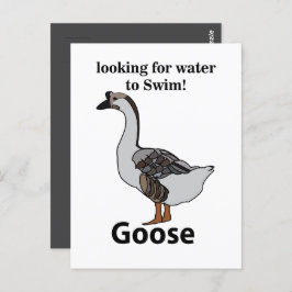 Cartão Postal Ganso Procurando Água Para O Ganso Africano Nataçã