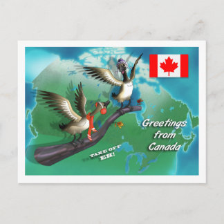 Cartão Postal Gansos canadenses