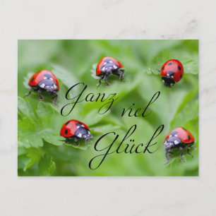 Cartão Postal Ganz viel Glück - mit Marienkäfern!