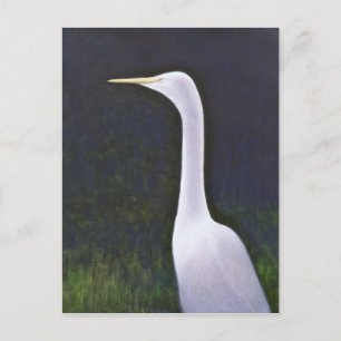 Cartão Postal Garça Branca