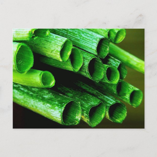 Cartão Postal Garden Grown Leeks (Frente)