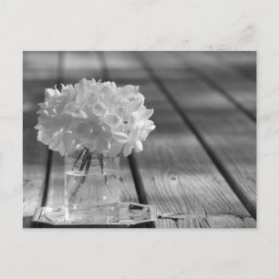 Cartão Postal Gardenias