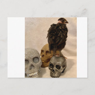 Cartão Postal Gargoyle