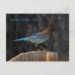 Cartão Postal Garner Valley, CA postal card
