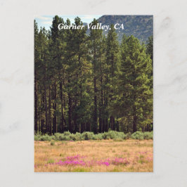 Cartão Postal Garner Valley, CA postal card