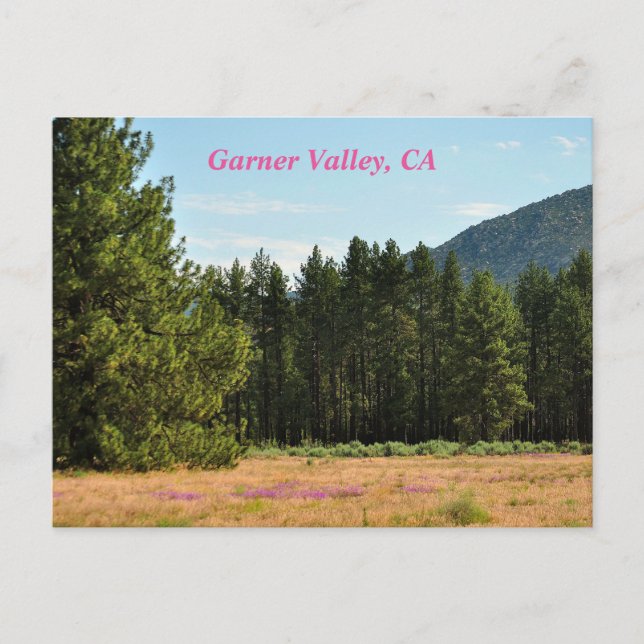 Cartão Postal Garner Valley, CA postal card (Frente)