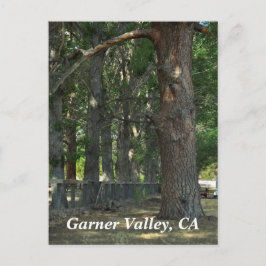 Cartão Postal Garner Valley, CA Postcard