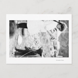 Cartão Postal Garota alimentando ursinho na praia