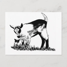 Cartão Postal garoto alpino