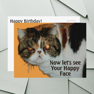 Cartão Postal Gata Ranzinza Mal-humorada Persian Exótico de Pêlo