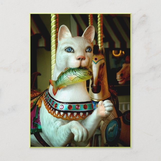 Cartão Postal Gatinho (Frente)