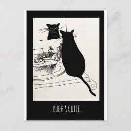 Cartão Postal gatinho