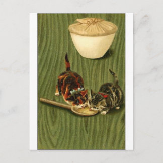 Cartão Postal Gatinho