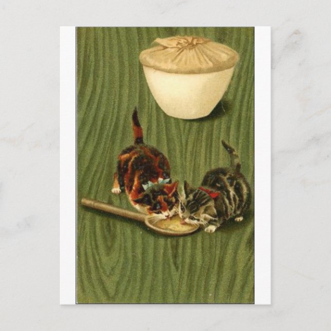 Cartão Postal Gatinho (Frente)