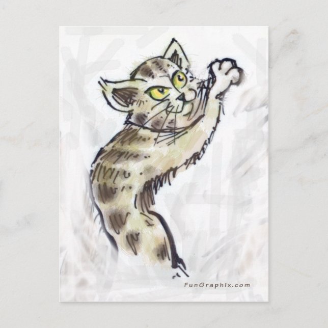 Cartão Postal Gatinho (Frente)