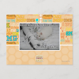 Cartão Postal Gatinho 1 do discrição