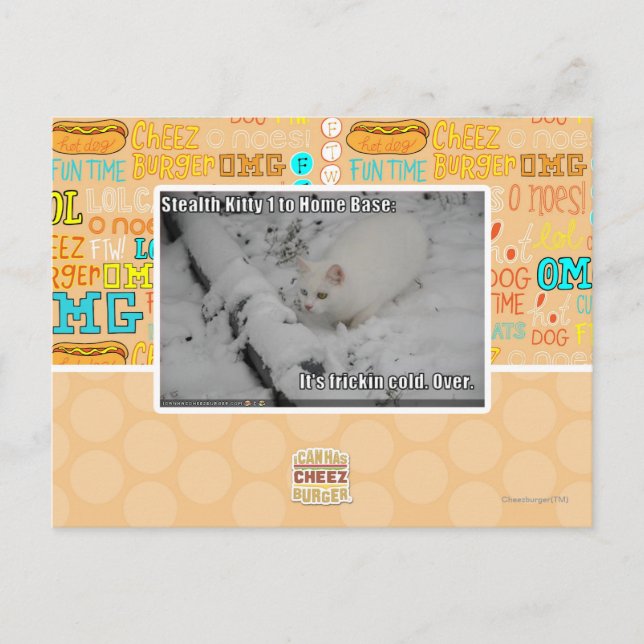 Cartão Postal Gatinho 1 do discrição (Frente)
