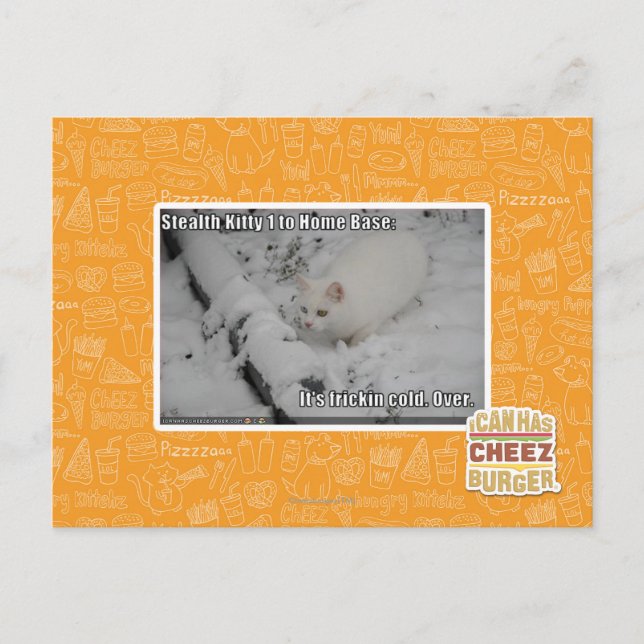 Cartão Postal Gatinho 1 do discrição (Frente)