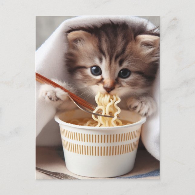 Cartão Postal Gatinho Adorável Comendo Macarrão Ramen (Frente)