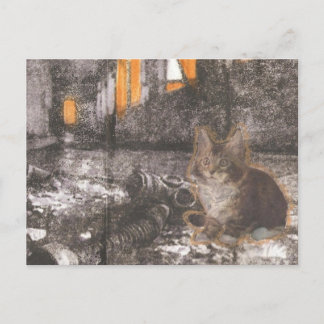 Cartão Postal Gatinho Apocalypse