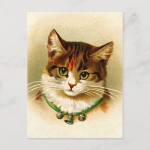 Cartão Postal Gatinho bonito com colar de sino
