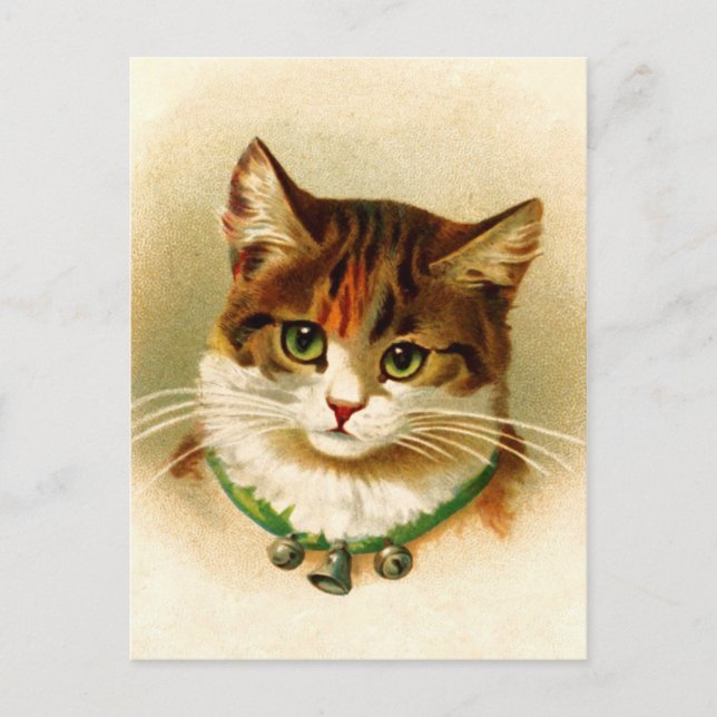 Cartão Postal Gatinho bonito com colar de sino (Frente)