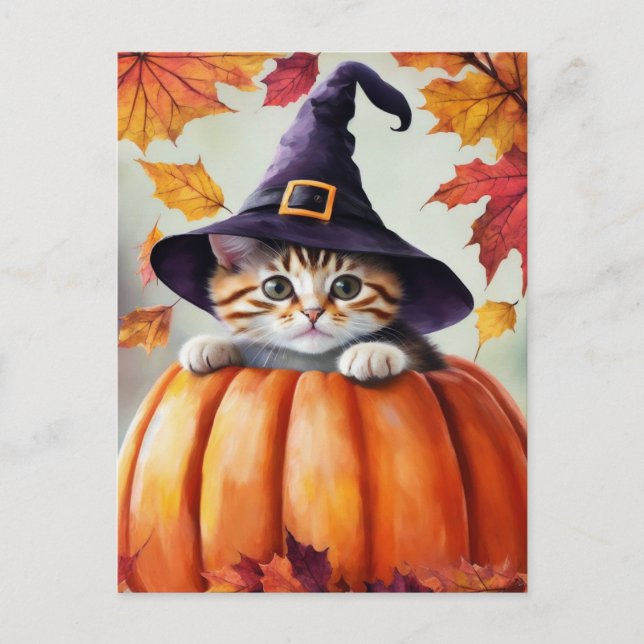 Cartão Postal Gatinho Bonito Na Pumpkin Vestindo Chapéu De Bruxa (Frente)